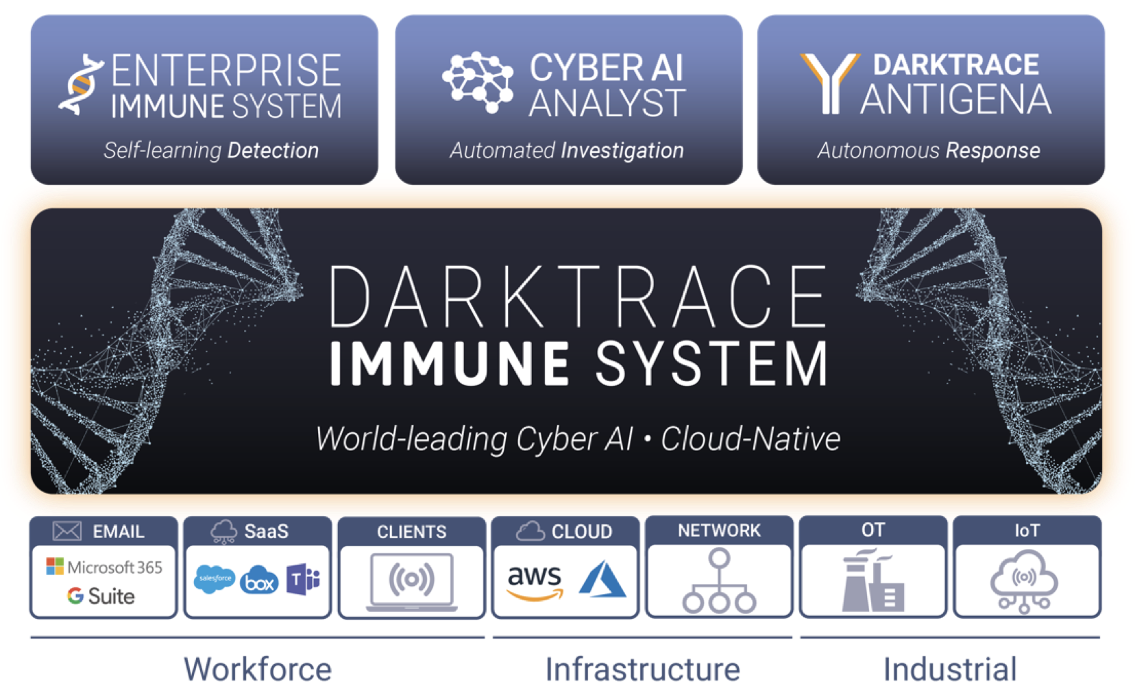 partner-immune-system-infographic